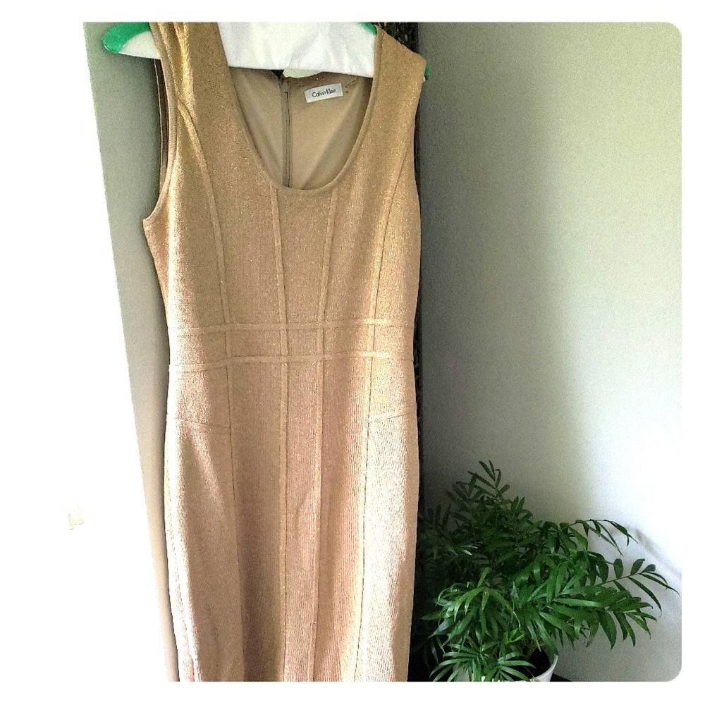 Calvin Klein Evening Gown